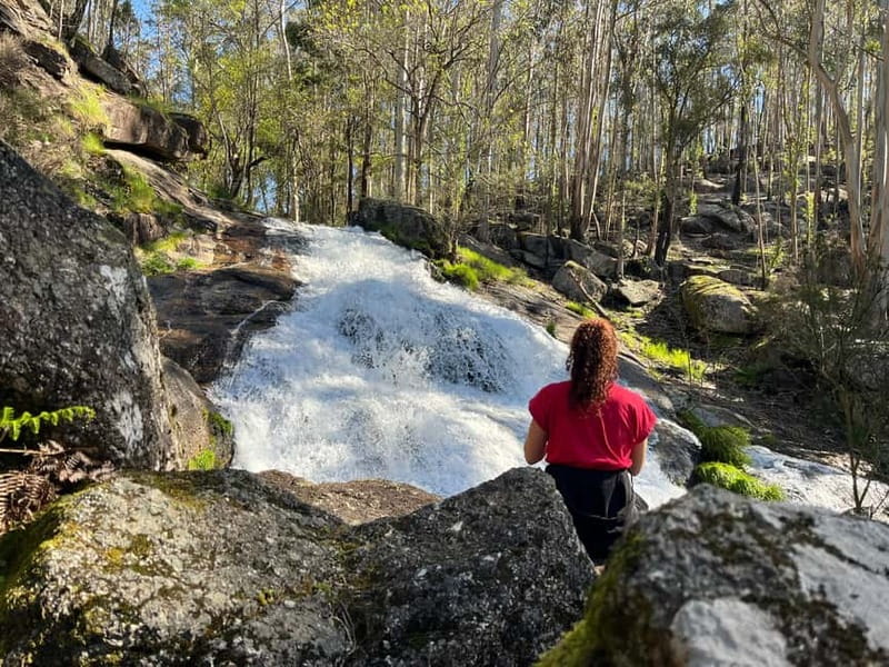 From Porto: Forest Waterfalls & Roman Ruins Trail Tour - Passing Through the Countryside: The Village and Park Moments
