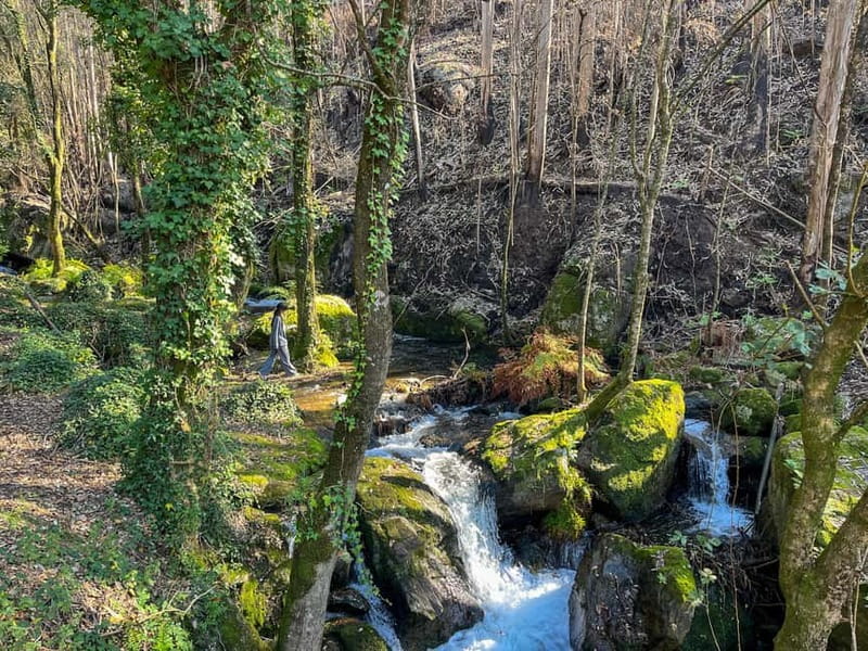 From Porto: Forest Waterfalls & Roman Ruins Trail Tour - Castro Monte Padrão Roman Ruins: Old Stones, Real Viewpoints