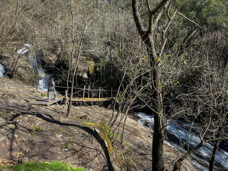 From Porto: Forest Waterfalls & Roman Ruins Trail Tour - Getting From Porto: Pickup Options and Central Drop-Off Reality