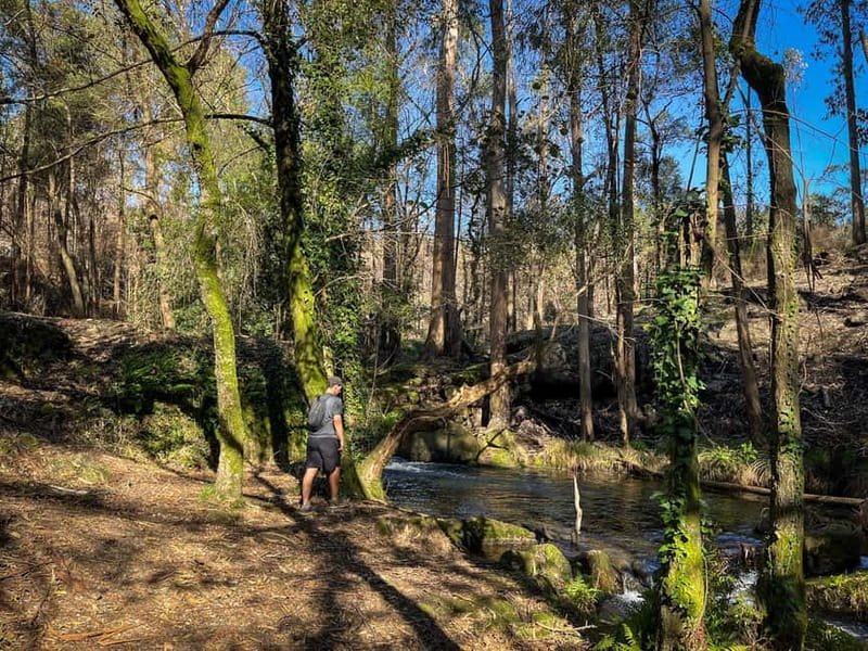 From Porto: Forest Waterfalls & Roman Ruins Trail Tour - Terrain, Timing, and What to Bring for a Comfortable Half-Day