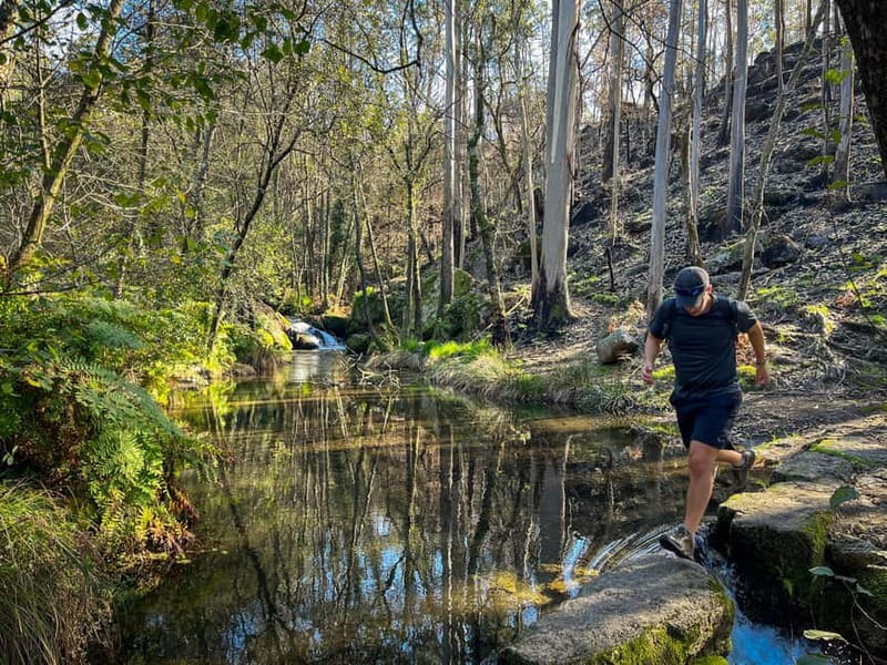 From Porto: Forest Waterfalls & Roman Ruins Trail Tour - Value for Money: Why This Combo Works (Even If You Skip Museums)