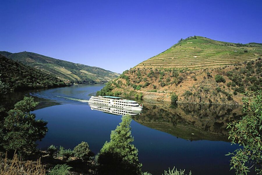 From Porto: Full-Day Douro Historical Tour - Key Highlights You Should Know