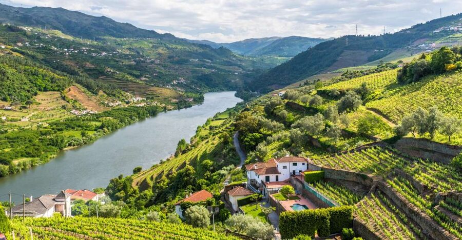 From Porto: Full-Day Douro Historical Tour - Why This Douro Day Trip Works Best From Porto