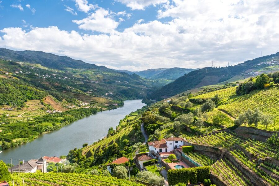 From Porto: Full-Day Douro Historical Tour - Amarante Stop: Monastery Time and a Real Riverside Town Feel