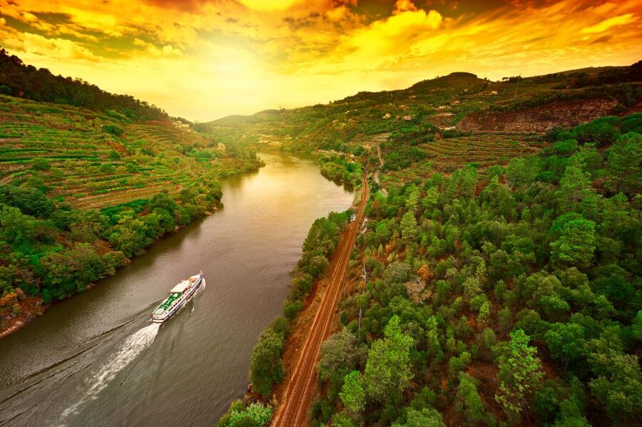 From Porto: Full-Day Douro Historical Tour - Douro Valley and Port Wine Tasting: Where the Story Becomes Taste