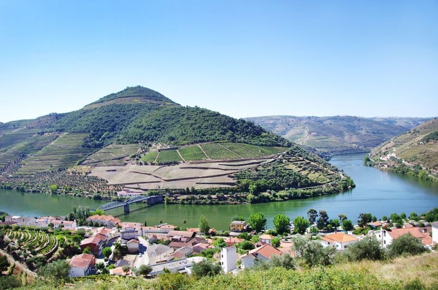 From Porto: Full-Day Douro Historical Tour - Group Day Comfort: What To Expect on the Coach