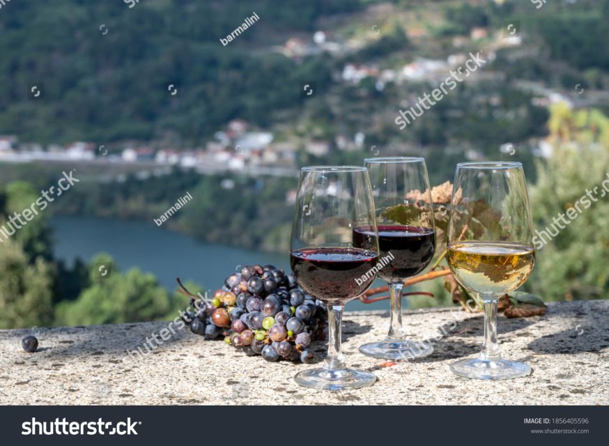 From Porto: Full-Day Douro Historical Tour - Getting There: Meeting Point, Timing, and What To Pack