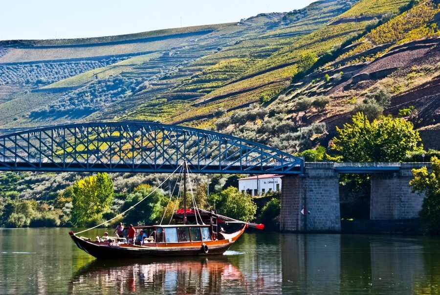 From Porto: Full-Day Douro Valley Trip - Final Photo Stop and Return to Porto