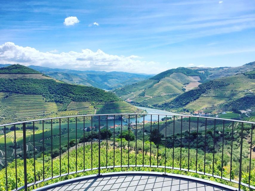From Porto: Full-Day Douro Valley Trip - The First Winery: Guided Tour Plus a Port-Heavy Tasting