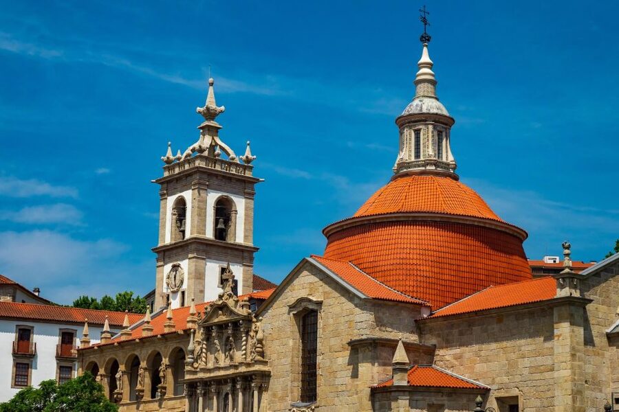 From Porto: Full-Day Douro Valley Trip - N222 Scenic Drive: The Views You Didn’t Have to Hunt Down