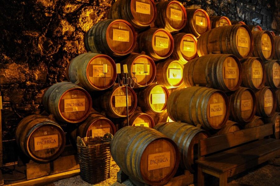 From Porto: Full-Day Douro Valley Trip - Lunch in a Wine Cellar: Meal, Pairing, and a Real Reset