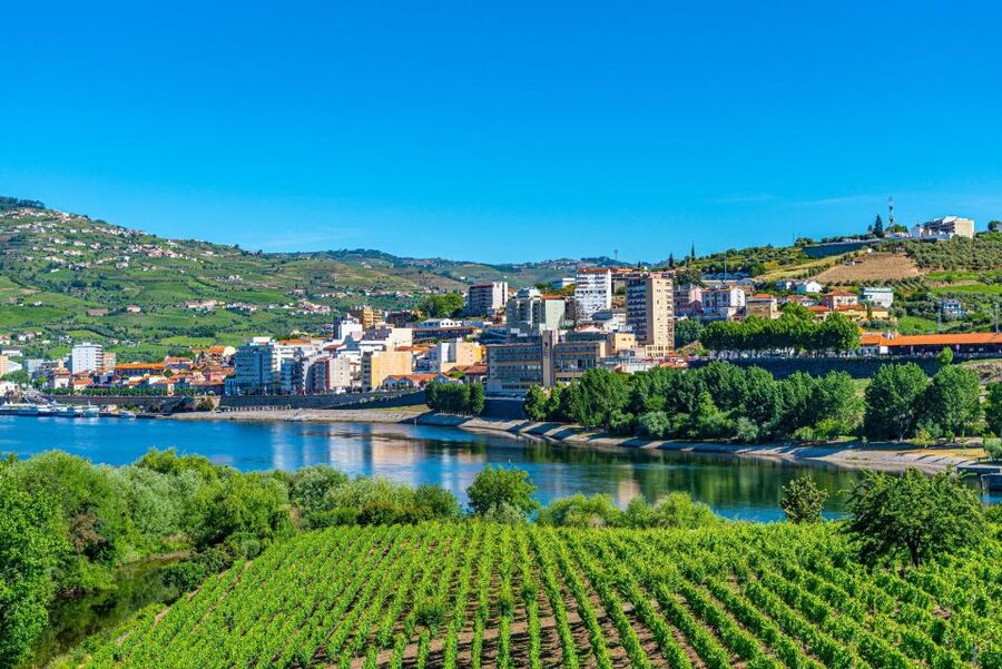 From Porto: Full-Day Douro Valley Trip - Second Winery in Pinhão: More Tastings, More Comparisons