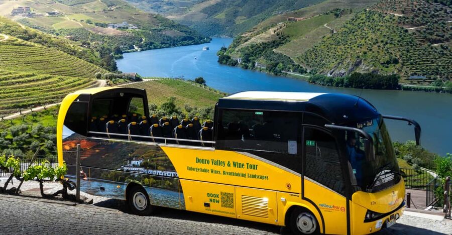 From Porto: Full-Day Douro Valley & Wine Tour with Lunch - Douro Valley from Porto: town, wine, and river in one day