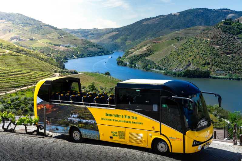 From Porto: Full-Day Douro Valley & Wine Tour with Lunch - Quinta São Luiz and Port production: what you learn before you taste
