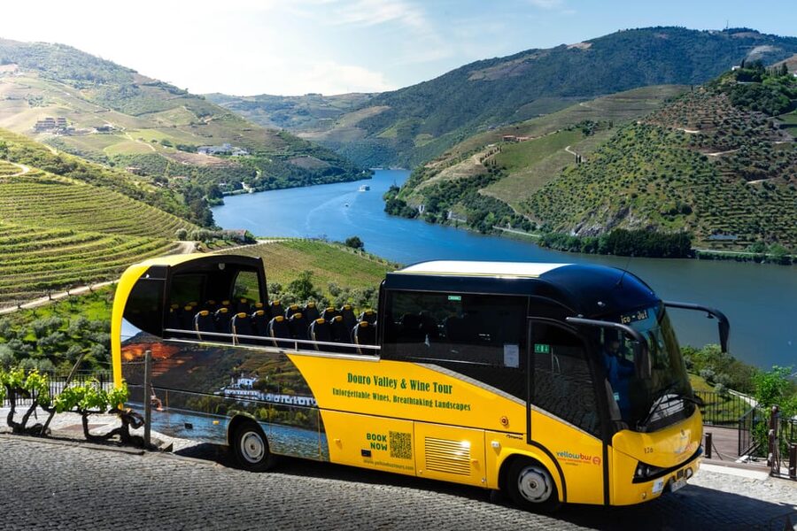 From Porto: Full-Day Douro Valley & Wine Tour with Lunch - The second winery visit after lunch: Douro tasting with a real pace