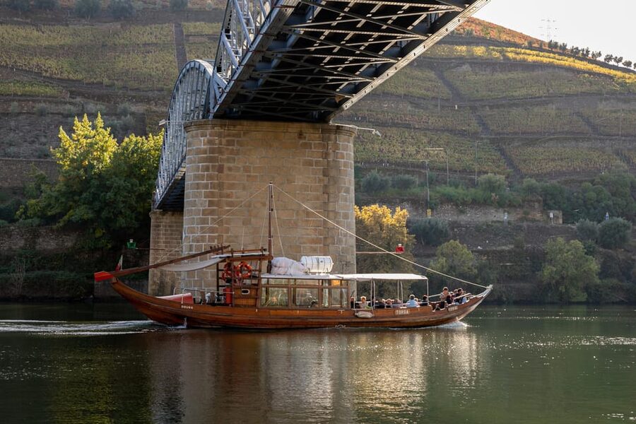From Porto: Full-Day Douro Valley & Wine Tour with Lunch - Meeting at Igreja da Lapa, facing the palace