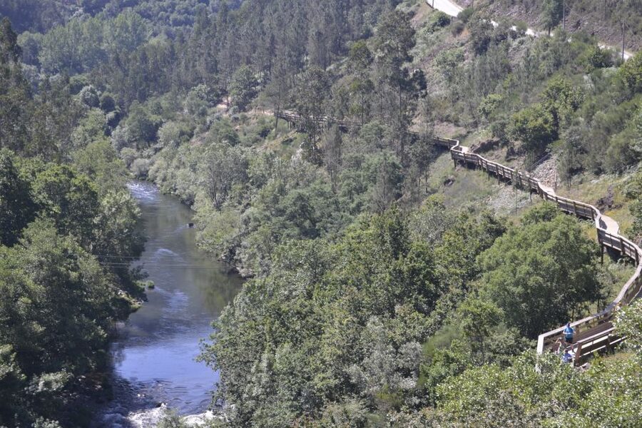 From Porto: Full-Day Paiva Walkways Tour - Key Highlights to Know Before You Go