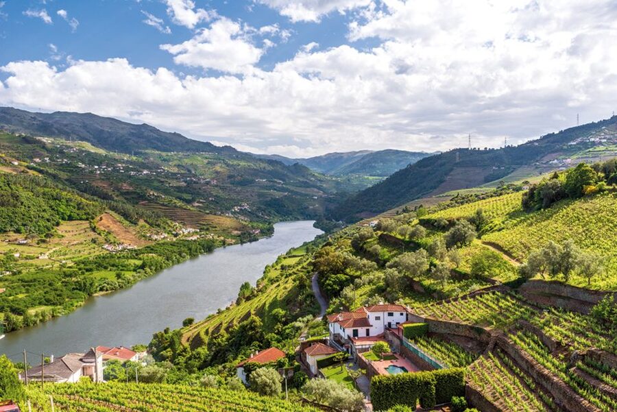 From Porto: Full-Day Trip of Minho Region - The UNESCO heart of Guimarães: squares, churches, and the shape of a medieval city