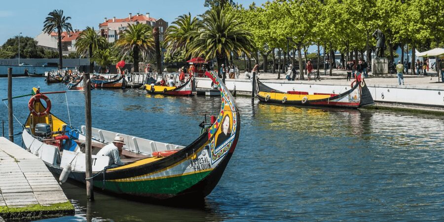 From Porto: Full-Day Trip to Coimbra & Aveiro with Boat Ride - From Porto to Coimbra, the day keeps its pace