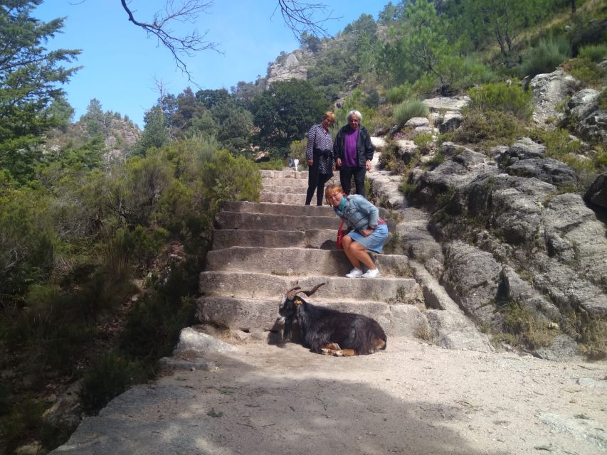 From Porto: Guided tour to Gerês Park - Quick hits before you go