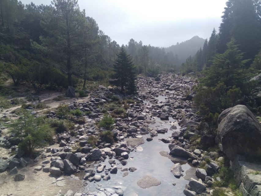 From Porto: Guided tour to Gerês Park - Who This Tour Is Best For