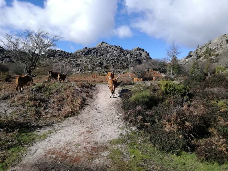 From Porto: Hike, Swim or just Explore Gerês National Park - Option 2: The 10 km Hike to Seven Natural Pools (June to September)