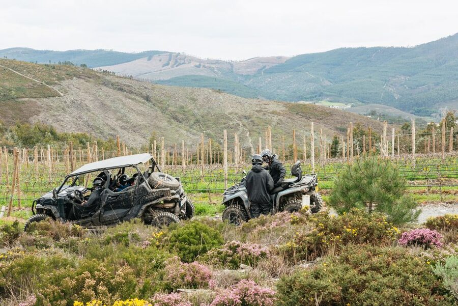 From Porto: Off-Road Buggy Adventure - Key things I think you’ll notice