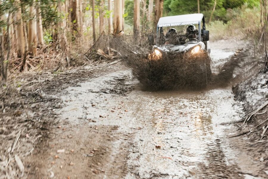 From Porto: Off-Road Buggy Adventure - Porto Off-Road Buggy Adventure, what you’re really signing up for