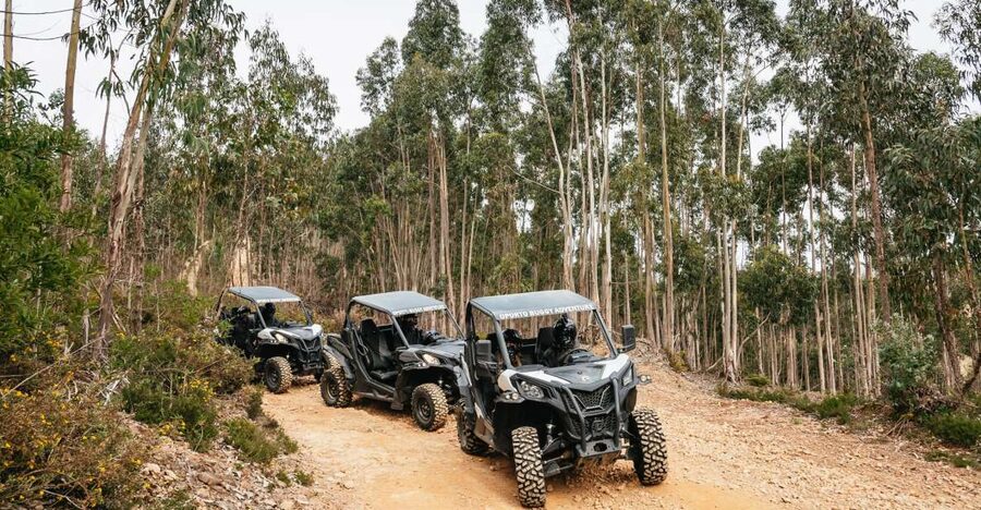 From Porto: Off-Road Buggy Adventure - Getting to the start in Porto, meeting point and pickup
