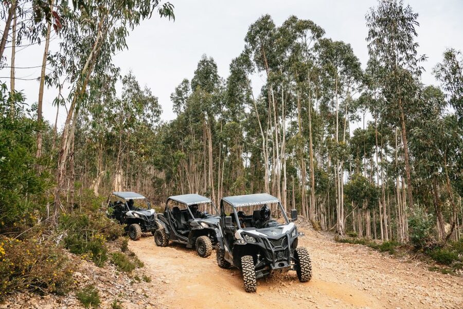 From Porto: Off-Road Buggy Adventure - Castro Mozinho Roman ruins: history you can see with your boots on