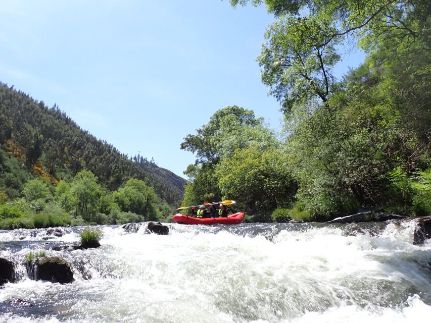 From Porto: Paiva River Canoe Rafting Adventure Tour - Transfers and drop-off points: how to plan your Porto return