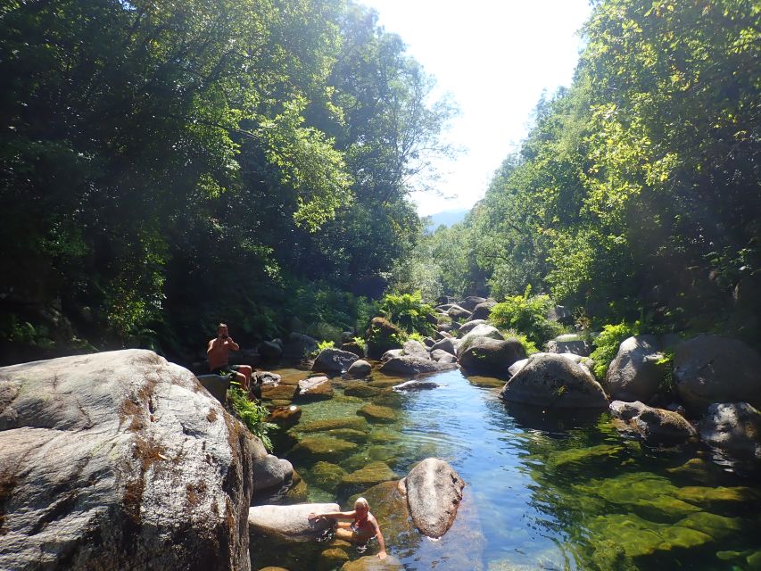 From Porto: Peneda-Gerês National Park Tour with Lunch - Price and value check: is $114 worth it?