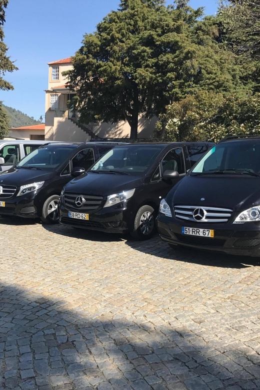 From Porto: Premium Douro Valley Small-Group Wine Tour - A Small-Group Douro Day That Feels Less Like a Circuit