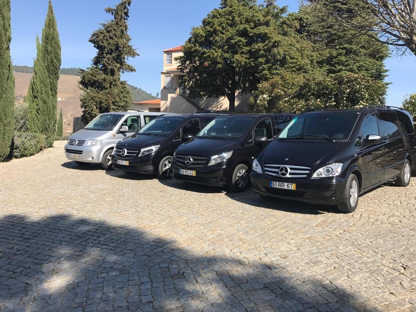 From Porto: Premium Douro Valley Small-Group Wine Tour - Who should book this Douro tour, and who should skip it