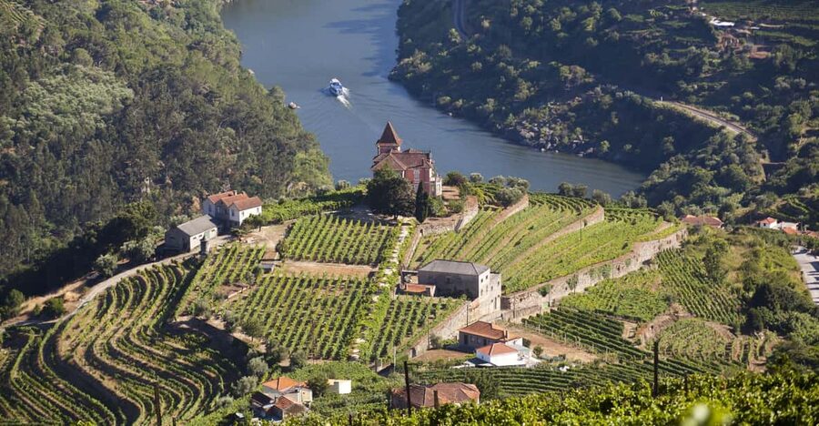 From Porto: Premium Douro Valley Small-Group Wine Tour - From Porto Pickup to Douro Views, What the Drive Really Means
