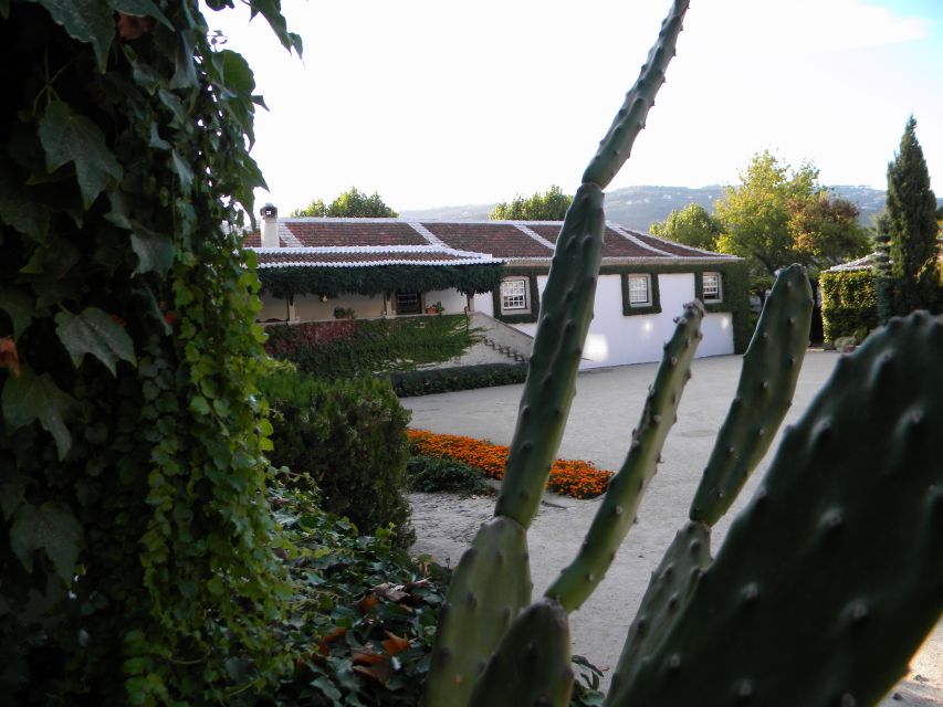 From Porto: Private Douro Valley Tour with Booking Service - Pinhão, Where Wine, River Views, and Timing Come Together