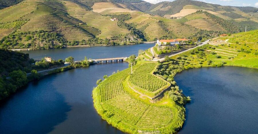 From Porto: Private Douro Valley Tour with Booking Service - Porto to the Douro Valley, Why the Road Time Matters