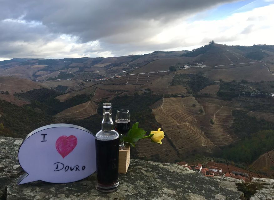 From Porto: Private Douro Valley Tour with Cruise and Wine - Two wineries in the Douro, plus Port wine tasting