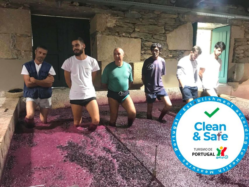 From Porto: Private Douro Valley Tour with Cruise and Wine - What the 10-hour schedule feels like, stop by stop