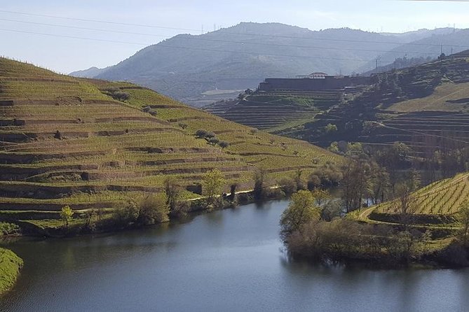 From Porto Private Tour Douro Valley two Wineries, Lunch and Boat. - Porto morning start: pickup, timing, and how the day is organized