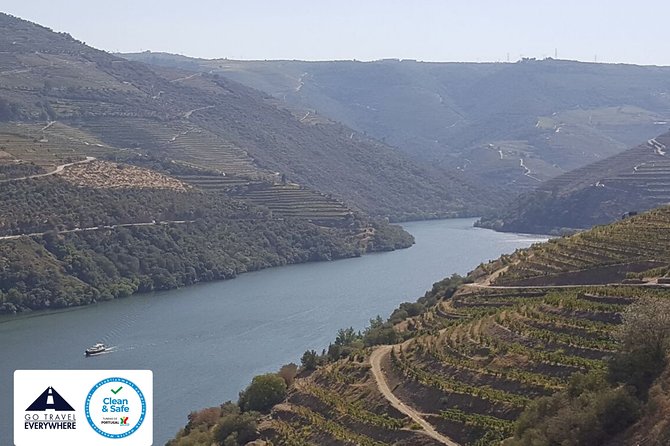 From Porto Private Tour Douro Valley two Wineries, Lunch and Boat. - Price and logistics: is $337.34 per group good value?