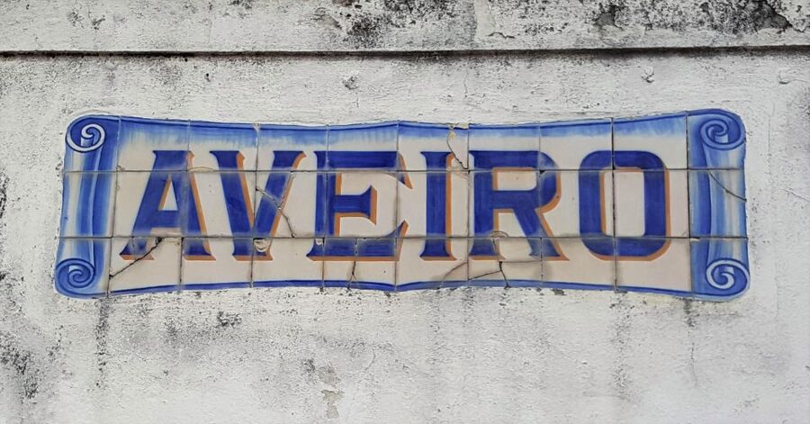 From Porto Private Tour Half Day in Aveiro and Costa Nova - Who this tour suits best