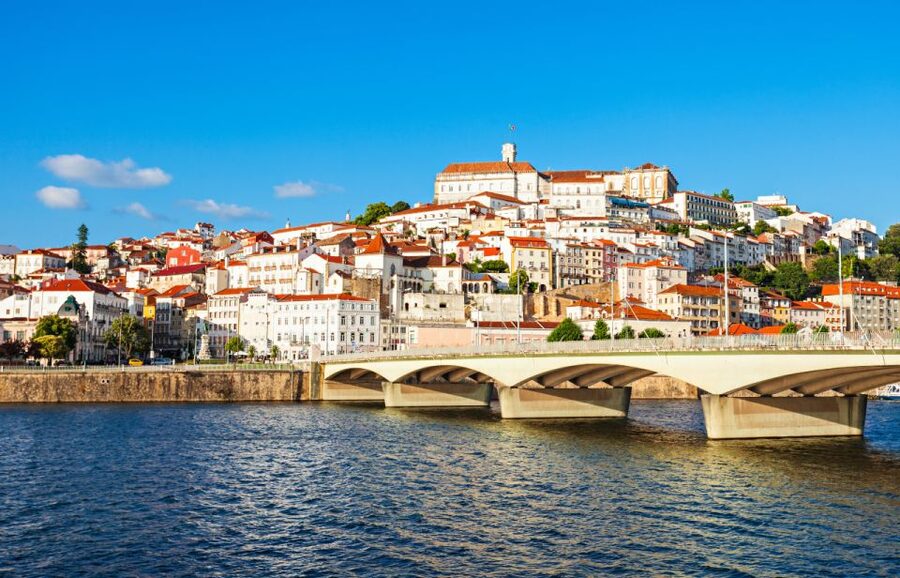 From Porto: Private Transfer to Lisbon with Coimbra & Fatima - Fatima time beyond the basilica: market, crafts, and free wandering