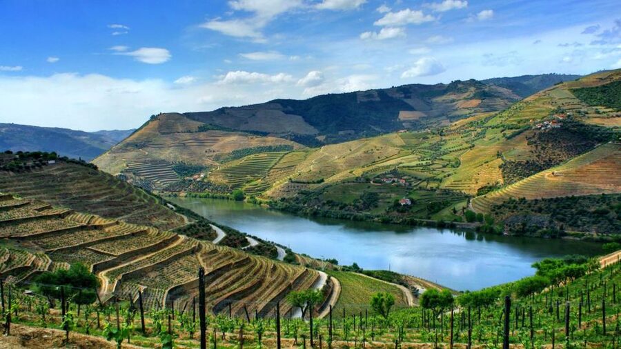 From Porto: Régua to Porto River Cruise with Lunch on Board - How the Douro Day Cruise Actually Works