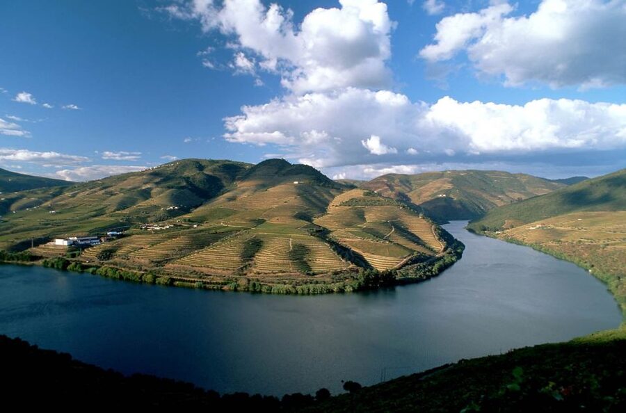 From Porto: Régua to Porto River Cruise with Lunch on Board - Who This Douro Day Cruise Fits Best