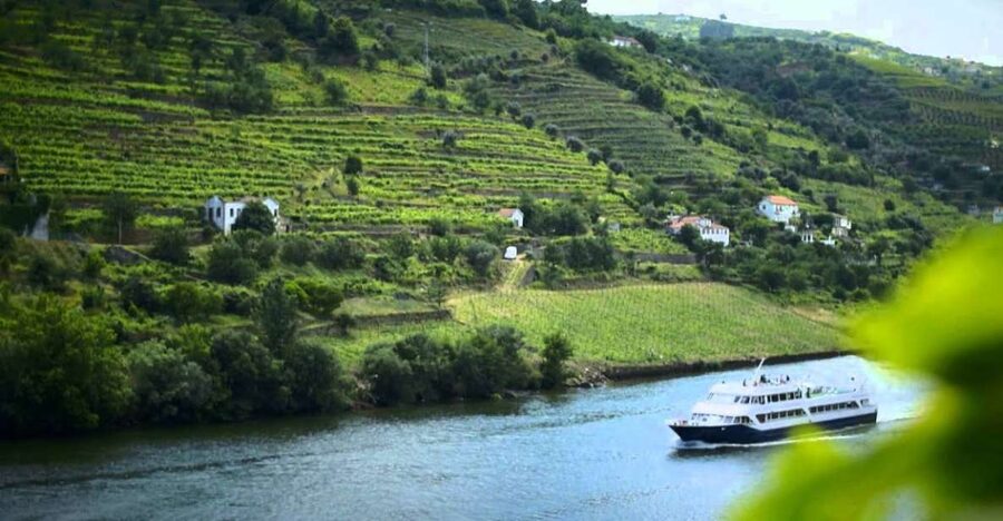From Porto: Régua to Porto River Cruise with Lunch on Board - Small Rules That Can Change Your Comfort Level