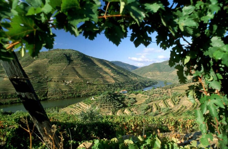 From Porto: Régua to Porto River Cruise with Lunch on Board - Régua Break: The Quick Wine-Region Moment Before the Boat