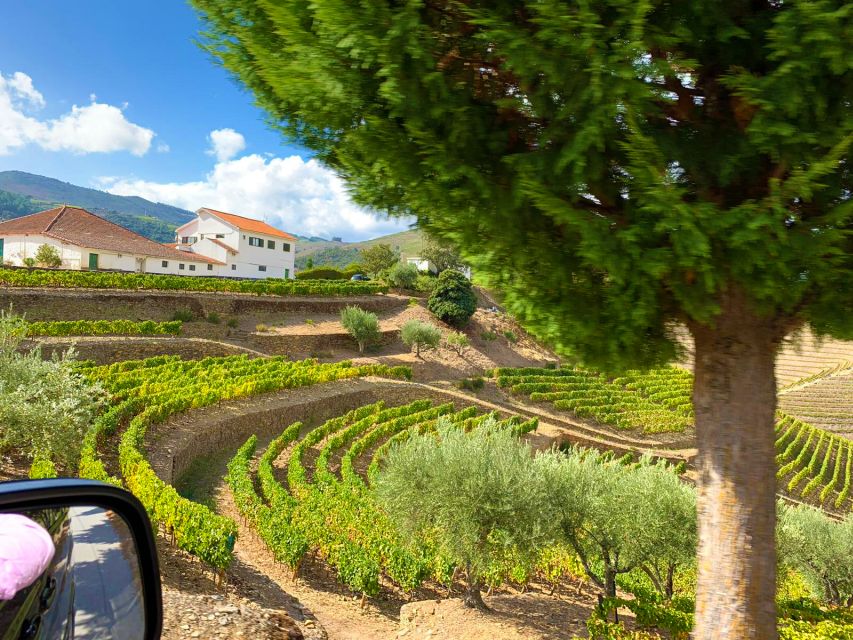 From Porto: Small-Group Douro Valley Wine Tour Lunch & Boat - Cais de Bagaúste Private Boat Cruise: The Most Relaxing Hour