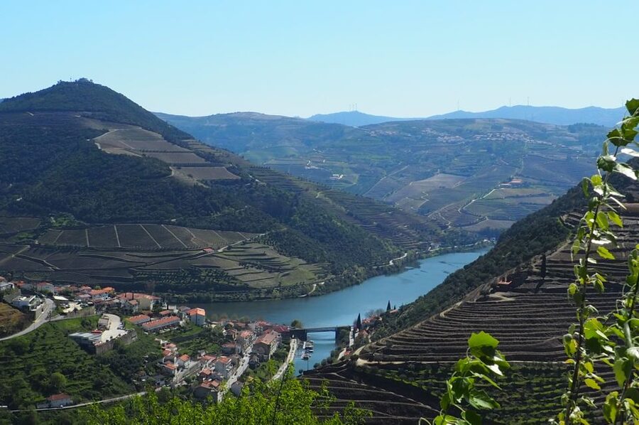 From Porto: Small-Group Douro Valley Wine Tour Lunch & Boat - Quinta dos Novais and Lunch: Family-Style Portuguese Food with Paired Wines