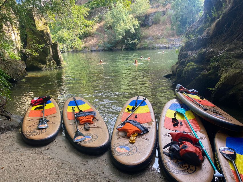 From Porto: SUP Paiva River Tour with Transfer - Learning SUP basics on the water, not in a lecture